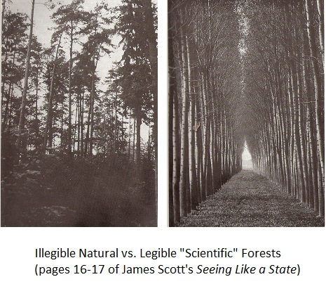 scottForestry
