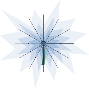 schemeMinus